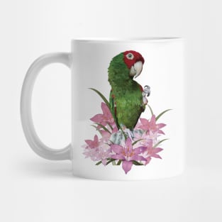 Red-masked Parakeet Mug